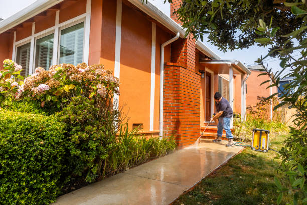 Best House Pressure Washing  in Manila, AR