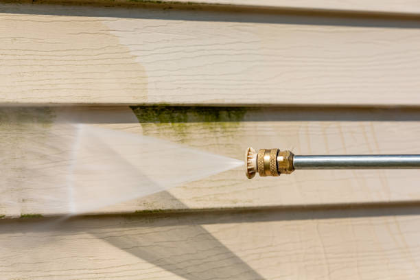 Best Pressure Washing Company Near Me  in Manila, AR