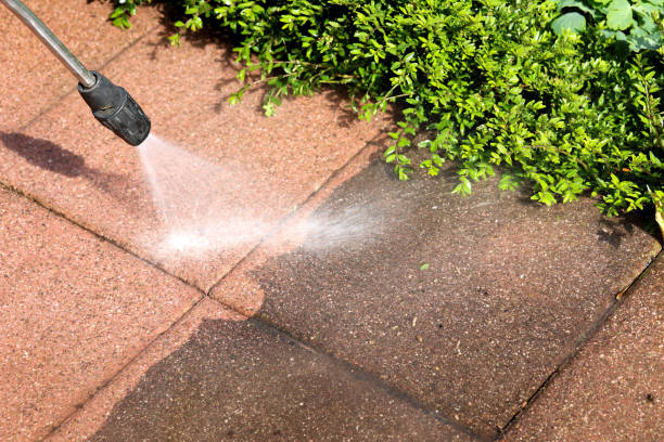 Best Local Pressure Washing Services  in Manila, AR